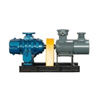 Ns Series Self Priming Water Pump for Agiculture