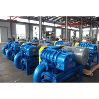 Compact Roots Blower