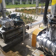 Stainless Steel Roots Blower for Process Gas