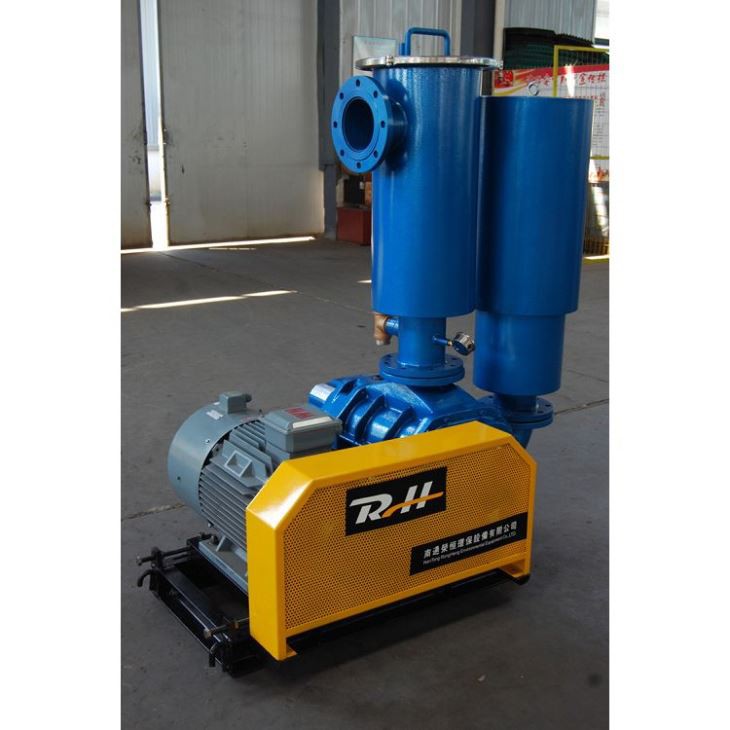 New Design High Efficiency High Pressure Roots Blower (ERG445)