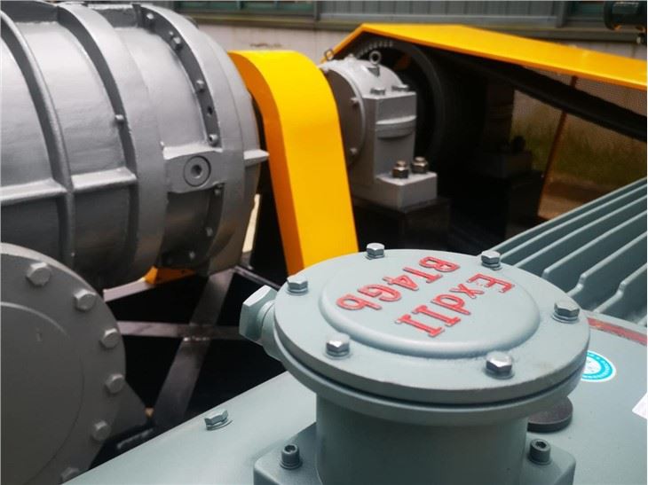 Roots Blower For Pneumatic Conveying System
